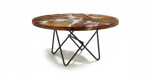 Kauri